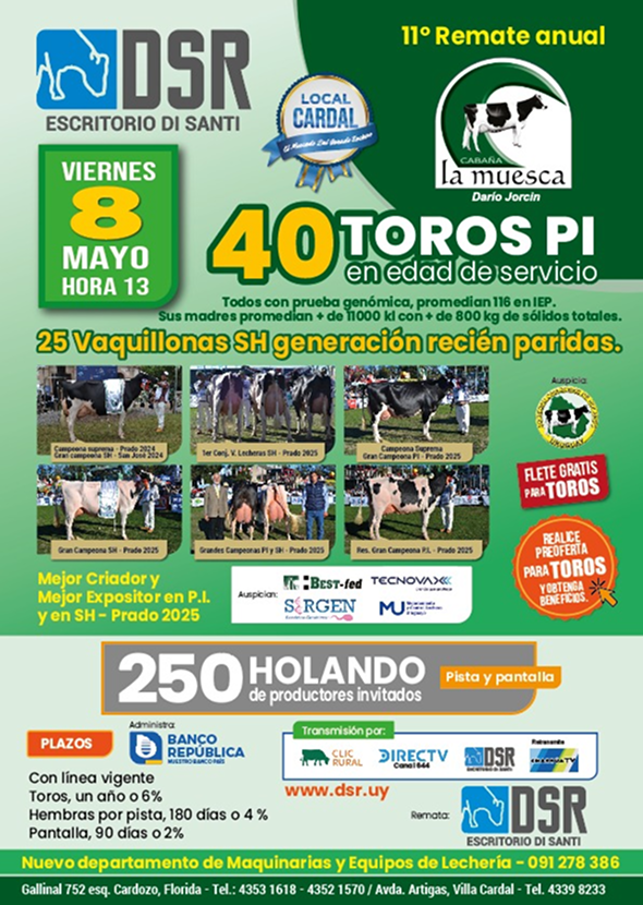 Afiche oficial del 11° Remate Anual de Cabaña La Muesca, organizado por DSR Escritorio Di Santi, que se llevará a cabo el viernes 8 de mayo a las 13 horas en el Local Cardal. El afiche destaca la oferta de 40 Toros PI y 25 Vaquillonas SH, junto con 250 Holando de productores invitados. Incluye información sobre financiación con Banco República, transmisión en vivo y flete gratis para toros. También muestra fotos de vacas campeonas de la cabaña.